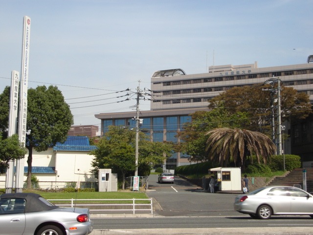 大学