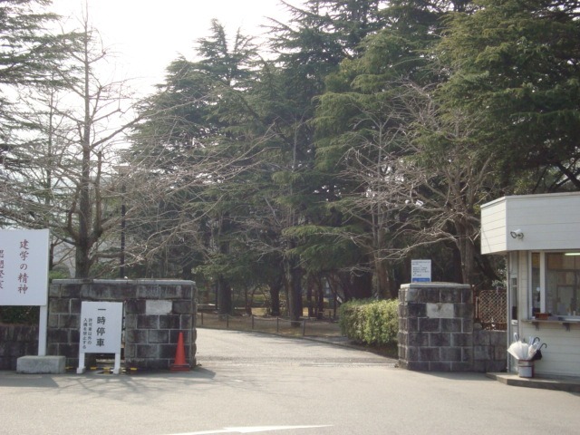 大学