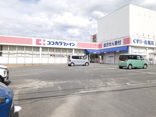 ドラッグストア